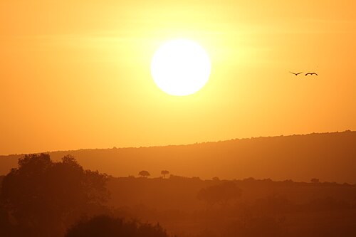 Masai Mara